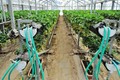Thumb_dsc_0033 (640x425)